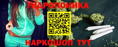 тгк Аргун