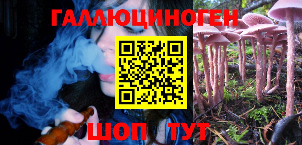 Псилоцибиновые грибы Psilocybe  Вход с VPN  Воркута 